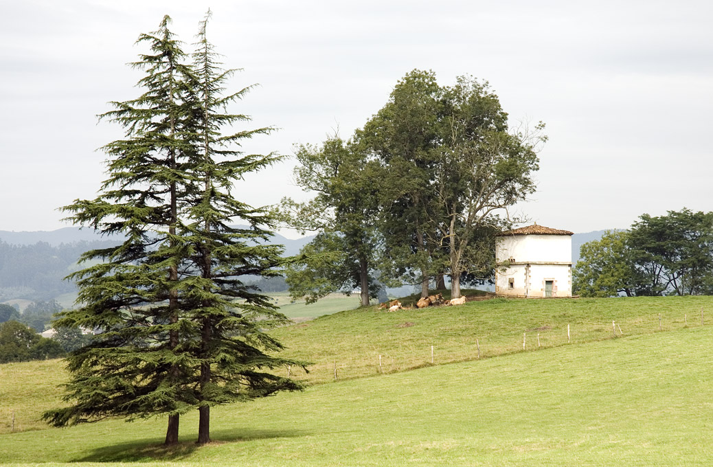 Palomar en La Piniella