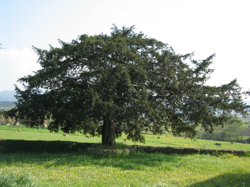 Texu junto a Capilla Villanueva